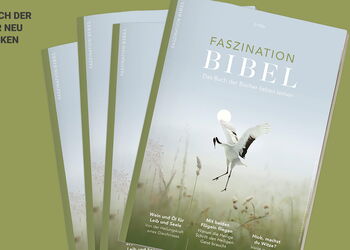 Vier Hefte des Magazins "Faszination Bibel" sind aufgefächert vor einem grünen Hintergrund.