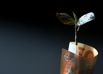 Ein Geldschein um eine Pflanze gewickelt