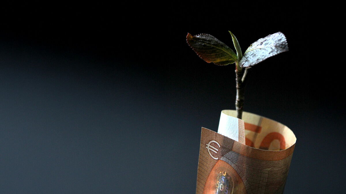 Ein Geldschein um eine Pflanze gewickelt