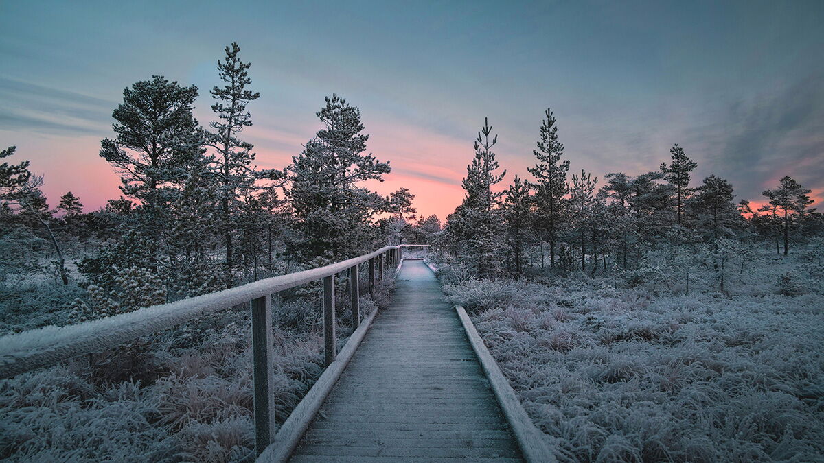 Winterlicher Weg mit Schnee und Frost, im Hintergrund sanftes Morgenlicht.