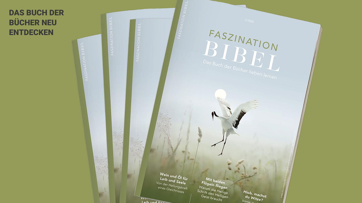 Vier Hefte des Magazins "Faszination Bibel" sind aufgefächert vor einem grünen Hintergrund.