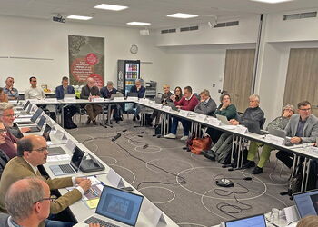 Mitgliederversammlung der VEF - etwa 20 Personen sitzen in einem Tagungsraum