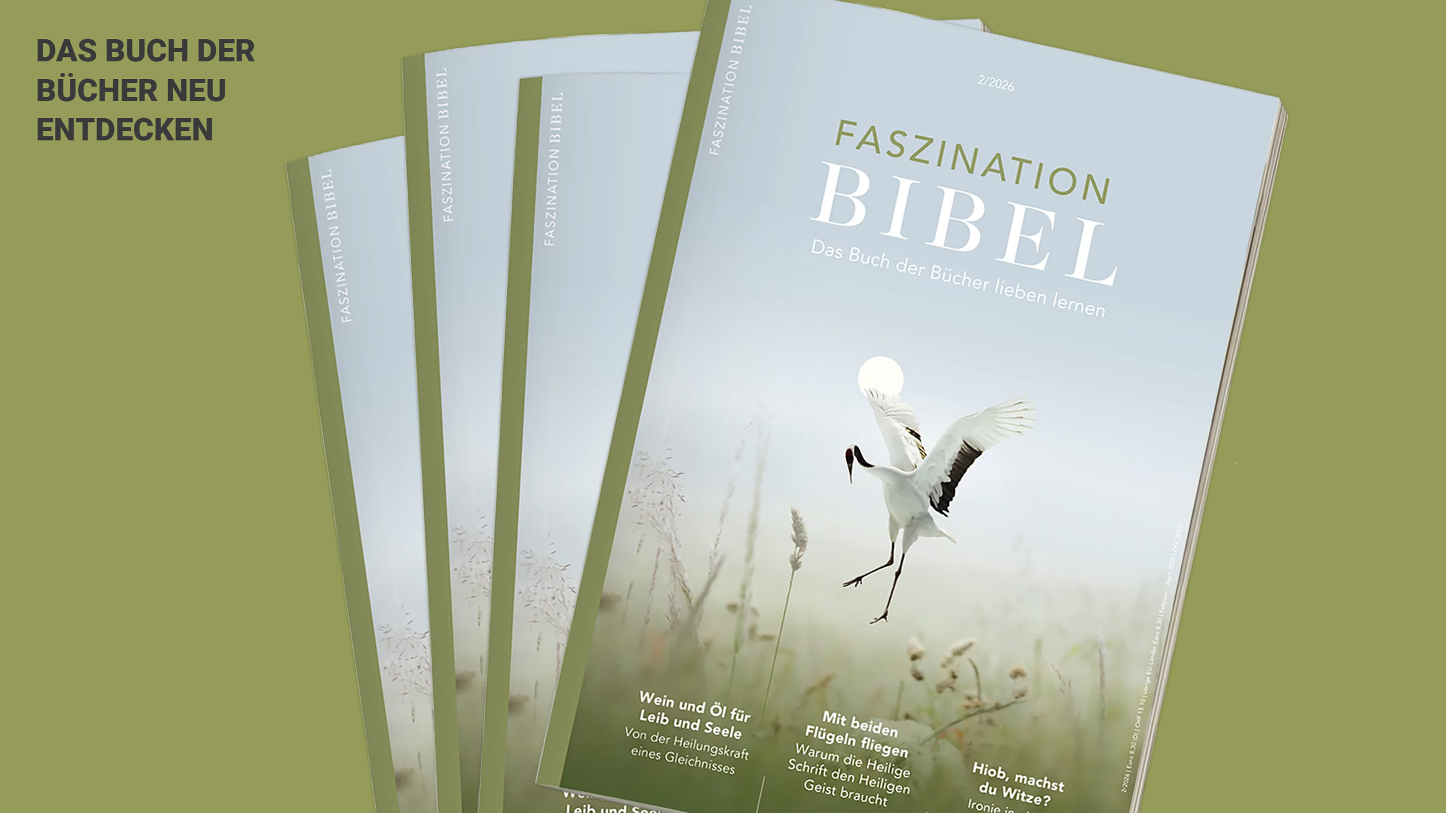 Vier Hefte des Magazins "Faszination Bibel" sind aufgefächert vor einem grünen Hintergrund.